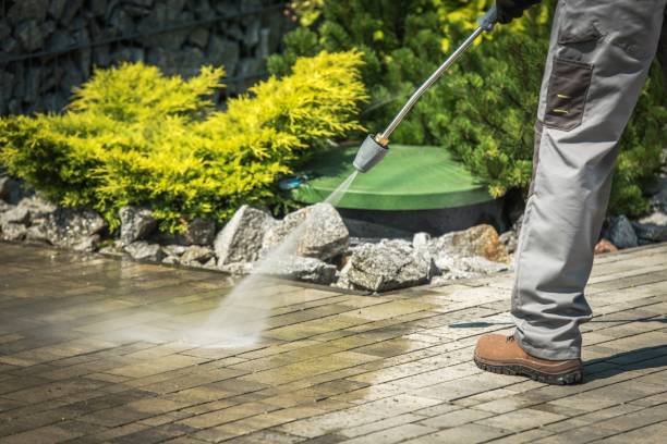 Animal Enclosure Cleaning in Totowa, NJ
